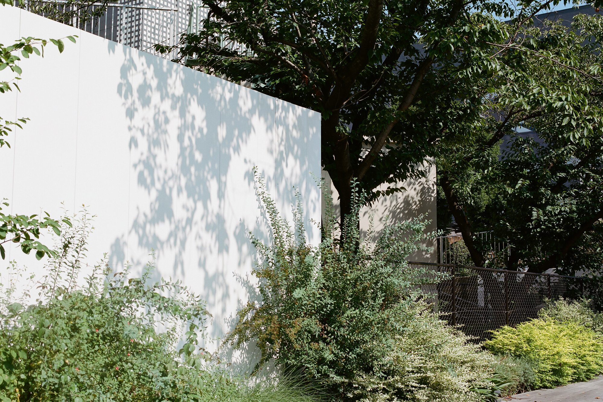 errer 樹脂標本 7種 植物標本 木箱入り 古道具 アンティーク 【公式通販】